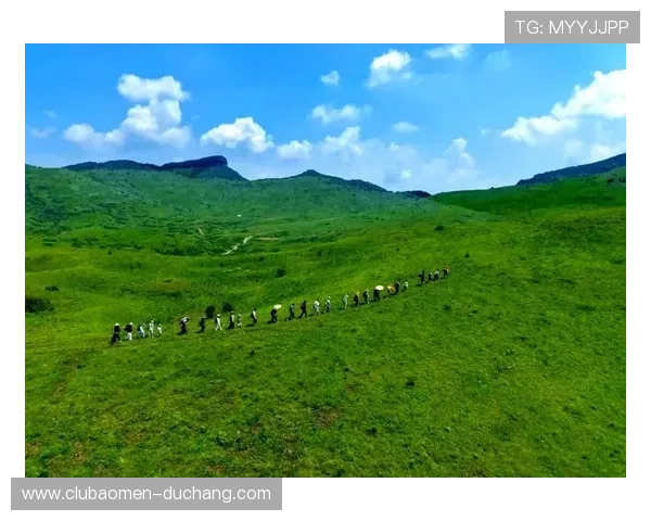大阳城家庭旅游：适合全家出行的景点景区安排与亲子互动项目推荐
